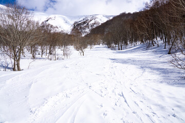 Obraz premium 冬山の景色（新潟県・平標山）