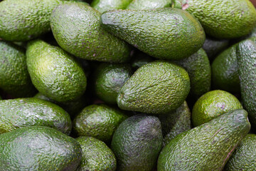 many avocado display for sale at local store
