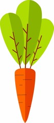 Vector Illustration Carrot Isolated on White Background. Cute Cartoon Carrot Vegetable in Flat Style.
