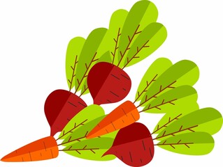 Vector Illustration Beetroot Carrot Isolated on White Background. Cute Cartoon Beetroot Carrot Vegetable in Flat Style.
