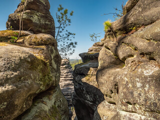Kleiner Bärenstein in der Sächsischen Schweiz - Aussicht Drei Bären
