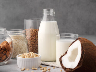 Assortment of organic vegan non-dairy milk from nuts, pine nuts, oatmeal, rice, buckwheat, almonds, coconut in glasses on a gray background. Drink, healthcare, diet and nutrition concept. Copy space.