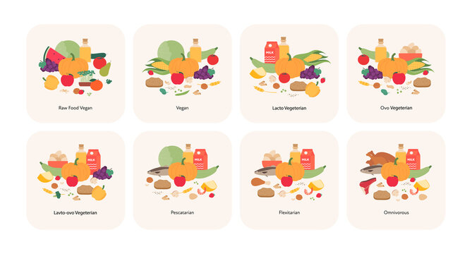 Vegetarian food plate example collection. Vector flat illustration. Different diet set of raw, vegan, ovo, lacto, pescatarian, flexitarian and omnivorous symbol isolated on white background