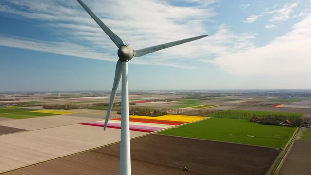 Aerial view on wind turbines on a levee with blossoming tulips in the background in Flevoland on the IJsselmeer coast in The Netherlands