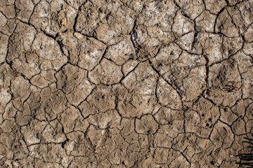 Detail close up of cracked soil exposed on the tidal zone - 498920269