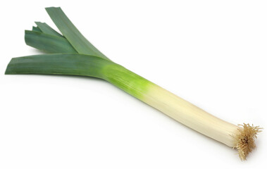 Fresh leek stems and leaves