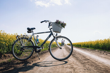 Fototapeta na wymiar rapeseed and bicycle field and lovers