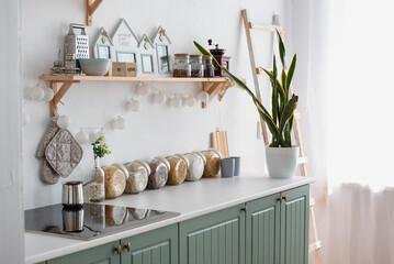 Green flower in the kitchen. White Scandinavian cuisine. Cereals are arranged in glass jars on the countertop.