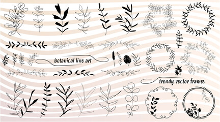 Hand drawn colorful plant set modern and universally usable. Flower branch and minimalistic plants. Hand drawn lines, elegant leaves for your own design. Botanical, chic and trendy plants.
