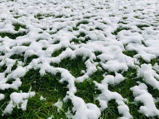 white snow patches on a green meadow