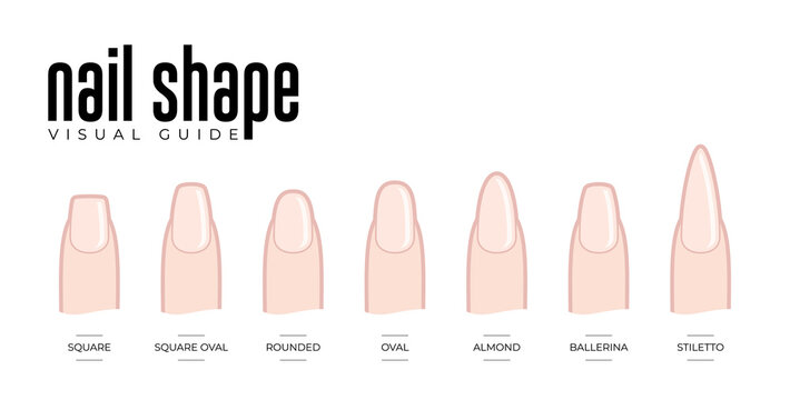 Vector set nail shape visual guide. Isolatedn on white background.