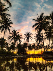 Obraz premium palm trees at sunset