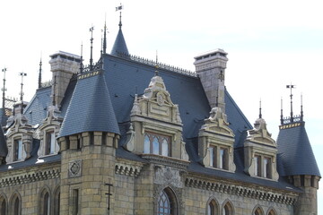 Fototapeta na wymiar castle in gothic style 