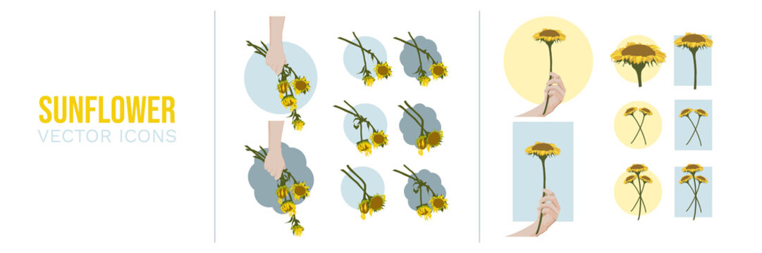 Sunflower Icons: Life and Death