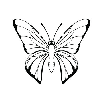 Black drawn magic butterfly outline on a white background