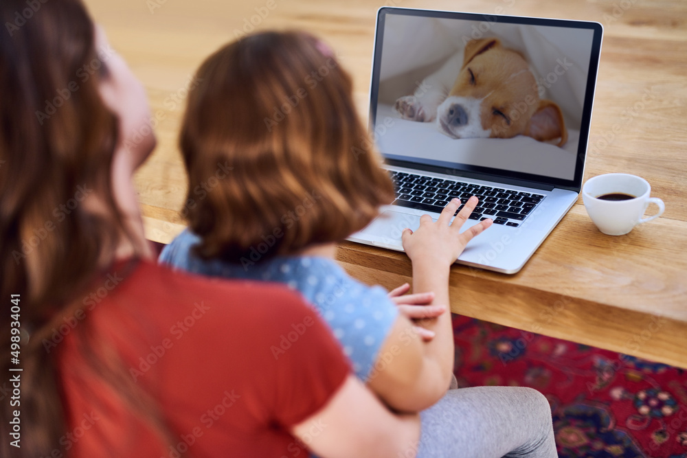 Poster Look at the cute puppy Mom. Cropped shot of a mother and daughter using a laptop together at home.