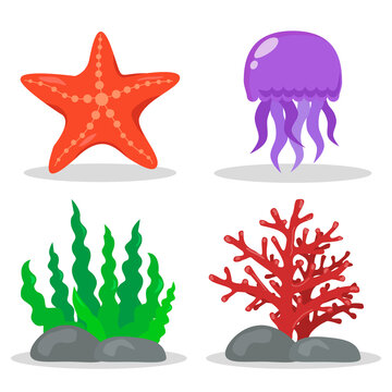 A set of illustrations on the marine theme. Algae, corals, starfish, jellyfish. Without background, isolated.