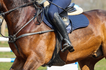 Obraz premium Horse riding leg close-up