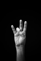 Hand demonstrating the Ukrainian sign language letter 'Н'.