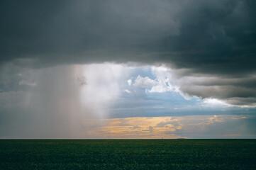 Obraz na płótnie Canvas storm over the field of a soybean plantation, clouded sky