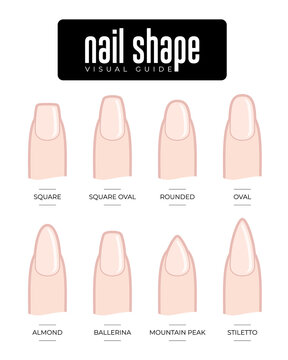 Vector set nail shape visual guide. Isolatedn on white background.