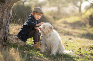 a little boy in vintage clothes walks in nature with a white shaggy dog in spring...