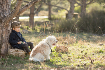 a little boy in vintage clothes walks in nature with a white shaggy dog in spring..