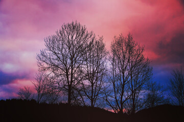 Fototapeta na wymiar colorful sunset sky