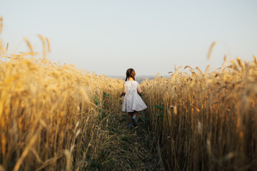 Happy running child girl in summer dress between on a ranks with golden wheat in the sunlight.