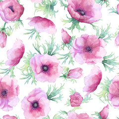 Pink anemone flowers watecolor seamless pattern on white background