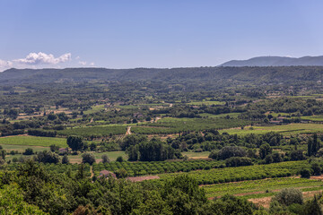 Fototapeta na wymiar Panoramic view of Little Luberon valley from hilltop, vineyards, orchards, cultivated fields, deciduous treesin the summer morning. Vaucluse, Provence, France