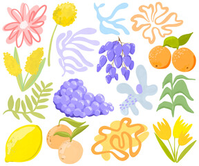 Set of abstract spots and fruits on a white background. Hand drawn fruits, plants, dots and lines in modern minimalist trendy style. Summer mood.