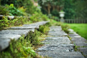 Fern on the staircase of Bantry house