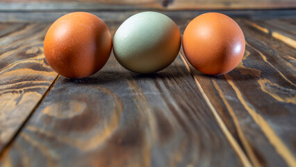 Llight blue and brown eggs. Easter Festival concepts. Araucana egg and the egg of an ordinary chicken.