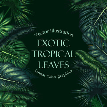 Vector illustration banner template with tropical plants in engraving style. Color graphic linear exotic palm and banana leaves, monstera, aralia, elephant ear leaf, fern