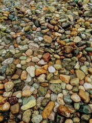 wall
