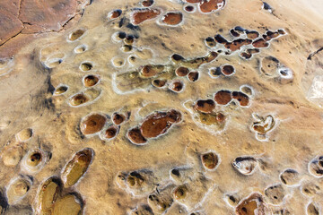 beach rock holes texture with pools of water 