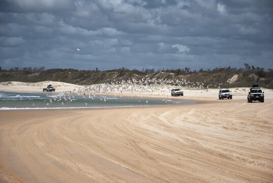 Four wheed drive vehicles drivin on the beach of Fraser Island, Queensland, Australia