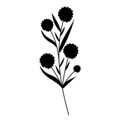 plant silhouette, isolated on white background vector