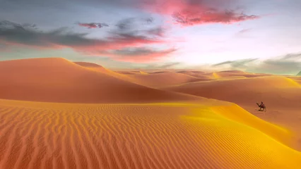 Foto op Canvas Een man op een kameel die alleen door de woestijn loopt © Mohammed