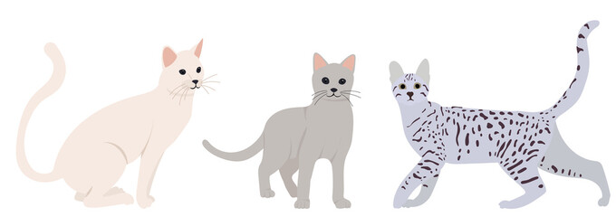 cute cats flat design, isolated, vector