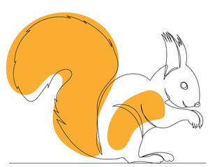 squirrel drawing by one continuous line, sketch