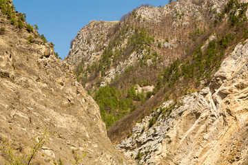 Spring in the mountains of Chechnya.