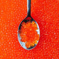 Close-up of a spoon with appetizing red caviar against the background of many caviar eggs. Seafood delicacies, top view.