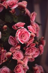 Bouquet of Roses
