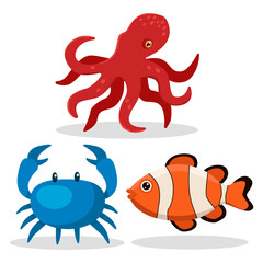 Marine elements. Crab, clown fish, octopus. Vector graphic.