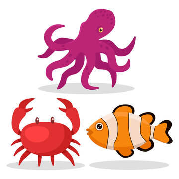 Set of illustrations on the marine live. Crab, clown fish, octopus. White background, isolated.