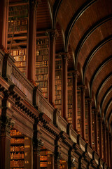 Rows and rows of books. Cropped shot of a large, vintage library full of books.