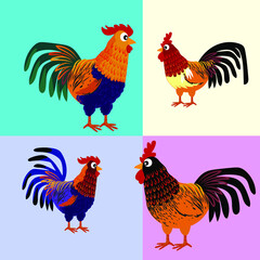 Chicken set, hen, rooster character vector illustration.