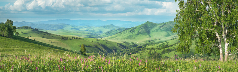 Panoramic view of a summer day in the mountains, grass in the foreground
